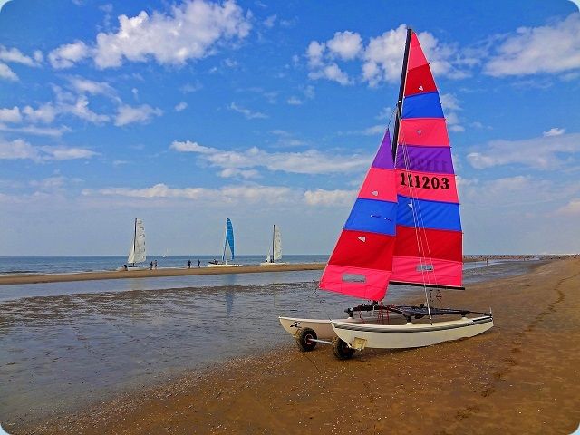 Hobie 16